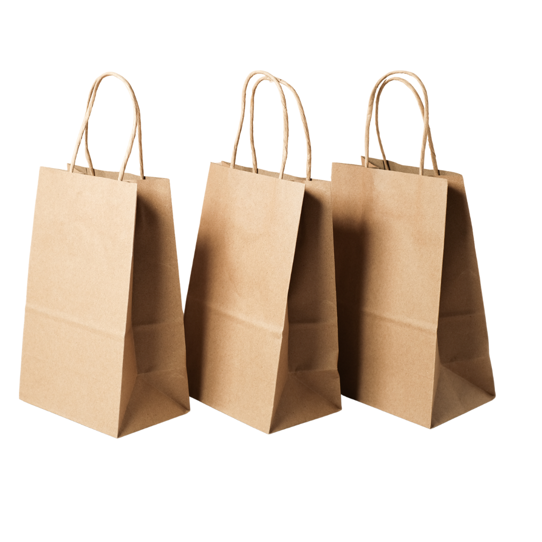 Kraft Twist Handle Paper Bag – Signature Kraft